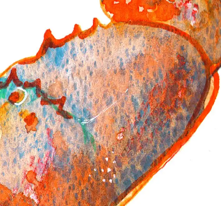 lobster watercolour and mixed media texture detail by Nicola Schofield